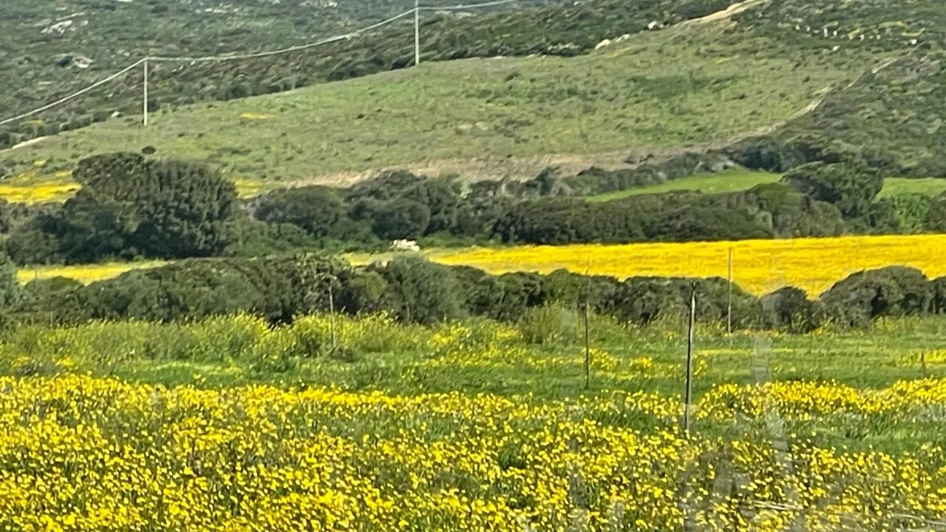La Casa Di Giorgio Lägenhet Santa Teresa Gallura